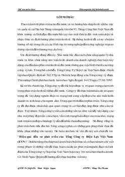 Hiệu quả đầu tư phát triển của Tổng Công ty Điện Lực Việt Nam (EVN)
