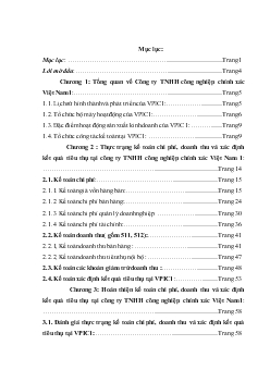 Hoàn thiện kế toán chi phí, doanh thu và xác định kết quả tiêu thụ tại Công ty TNHH công nghiệp chính xác Việt Nam 1(VPIC 1)