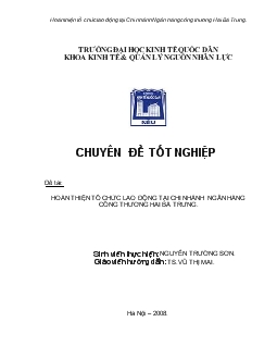 Hoàn thiện tổ chức lao động tại Chi nhánh Ngân hàng công thương Hai Bà Trưng