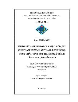 Khảo sát ảnh hưởng của việc sử dụng chế phẩm enzyme amylase đến tốc độ thủy phân tinh bột trong quá trình lên men rượu nếp than
