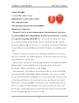 Nectar cà chua (Quy trình công nghệ sản xuất nước cà chua)
