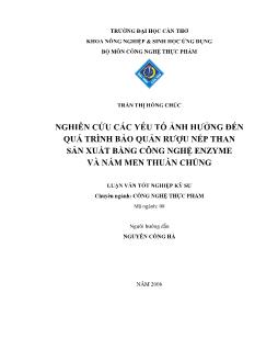 Nghiên cứu các yếu tố ảnh hưởng đến quá trình bảo quản rượu nếp than sản xuất bằng công nghệ Enzyme và nấm men thuần chủng