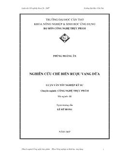 Nghiên cứu chế biến rượu vang dừa