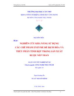 Nghiên cứu khả năng sử dụng các chế phẩm enzyme để dịch hóa và thủy phân tinh bột trong sản xuất rượu nếp than