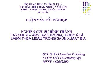 Nghiên cứu sự hình thành enzym alpha amylaze trong thóc để làm thế liệu trong sản xuất bia