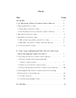 Những vấn đề lí luận về kinh tế đối ngoại, phân tích hiện trạng của vấn đề và đưa ra các giải pháp