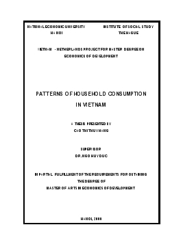 Patterns of household consumption in Vietnam