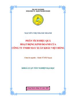 Phân tích hiệu quả hoạt động kinh doanh của Công ty TNHH may xuất khẩu Việt Hồng