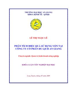 Phân tích hiệu quả sử dụng vốn tại Công ty cổ phần du lịch An Giang