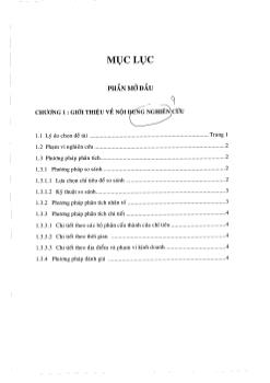 Phân tích kết quả hoạt động kinh doanh tại Công ty cổ phần khách sạn quên hương 6 tháng đầu năm 2006