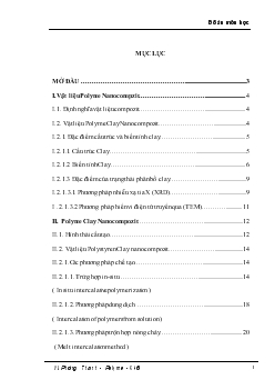 Polyme Clay Nanocompozit