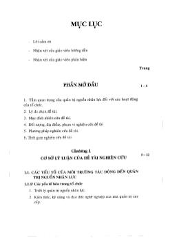 Thực trạng và giải pháp nhằm nâng cao hiệu quả quản trị nguồn nhân lực của tổng Đại lý Fedex/BD TP.HCM từ nay đến năm 2010