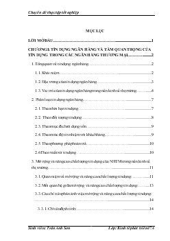 Giải pháp mở rộng quy mô tín dụng và nâng cao chất lượng tín dụng tại Ngân hàng Liên Doanh Việt – Nga đến năm 2010