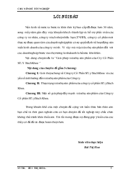 Giải pháp tiêu thụ sản phẩm của Công ty cổ phần Sĩ Ly Bách Khoa