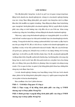 Hệ thống kênh phân phối của Công ty TNHH thương mại và Dược phẩm Hưng Việt