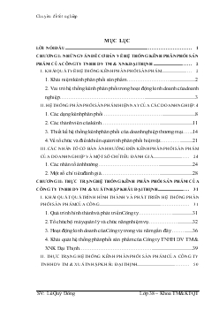 Hoàn thiện kênh phân phối sản phẩm ở Công ty TNHH DV TM & XNK Đại Thịnh