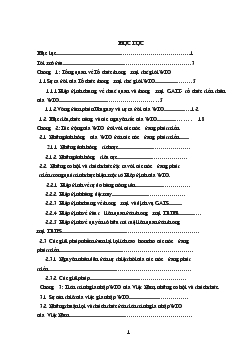Tổ chức thương mại thế giới WTO và tác động của nó đối với các nước đang phát triển