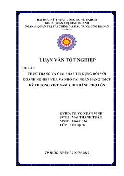 Thực trạng và giải pháp tín dụng đối với doanh nghiệp vừa và nhỏ tại ngân hàng TMCP Kỹ Thương Việt Nam, Chi nhánh Chợ Lớn