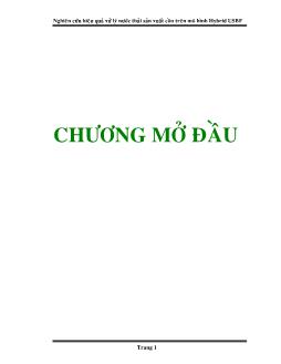 Nghiên cứu hiệu quả xử lý nước thải sản xuất cồn trên mô hình Hybrid USBF