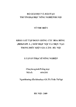 Khảo sát tập đoàn giống hoa hồng (Rosa spp.L.) mới nhập nội và chọn tạo trong điều kiện Gia Lâm - Hà Nội