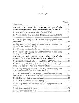 Một số giải pháp nâng cao chất lượng của quỹ tín dụng cho chi nhánh ngân hàng Nông nghiệp và Phát triển nông thôn Sài Gòn