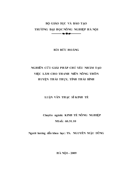 Nghiên cứu giải pháp chủ yếu nhằm tạo việc làm cho thanh niên nông thôn huyện Thái Thụy, tỉnh Thái Bình