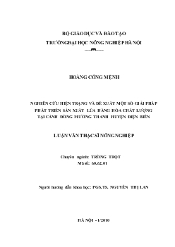 Nghiên cứu hiện trạng và đề xuất một số giải pháp phát triển sản xuất lúa hàng hoá chất lượng tại cánh đồng Mường Thanh huyện Điện Biên tỉnh Điện Biên