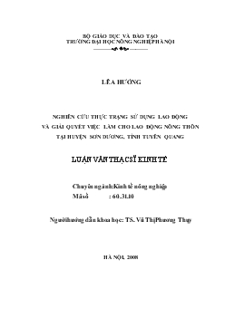 Nghiên cứu thực trạng sử dụng lao động và giải quyết việc làm cho lao động nông thôn tại huyện Sơn Dương, tỉnh Tuyên Quang