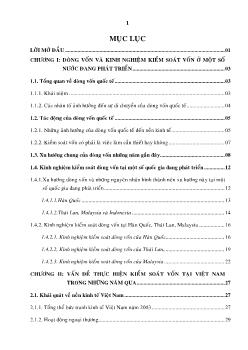 Tác động của dòng vốn và những giải pháp kiểm soát dòng vốn tại Việt Nam trong quá trình hội nhập