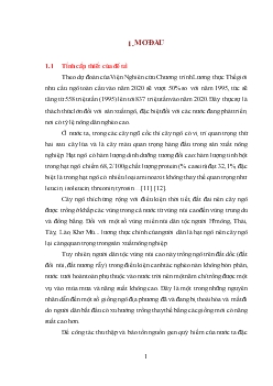 Thu thập và đánh giá đa dạng di truyền của các mẫu giống ngô nếp và ngô tẻ địa phương
