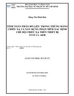 Tính toán phân bổ liều trong thùng hàng chiếu xạ và xây dựng phần mềm xác định chế độ chiếu xạ trên thiết bị SVST Co-60/B
