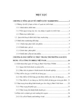 Xây dựng chiến lược Marketing cho sản phẩm Gas dân dụng của Công ty Shell Việt Nam đến năm 2010