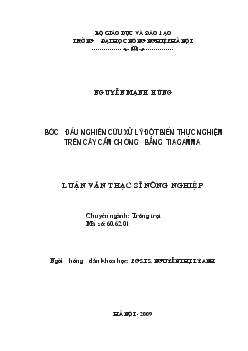 Bước đầu nghiên cứu xử lý đột biến thực nghiệm trên cây cẩm chướng bằng tia gamma