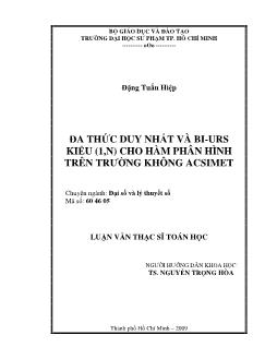 Đa thức duy nhất và Bi-URS kiểu (1,N) cho hàm phần hình trên trường không Acsimet