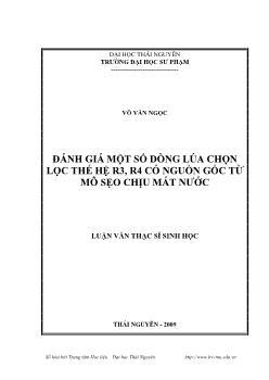 Đánh giá một số dòng Lúa chọn lọc thế hệ R3, R4 có nguồn gốc từ Mô sẹo chịu mất nước