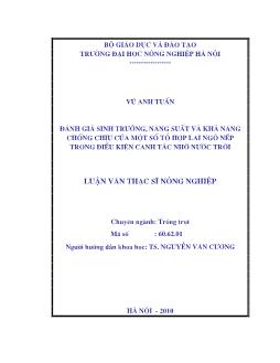 Đánh giá sinh trưởng, năng suất và khả năng chống chịu của một số tổ hợp lai ngô nếp trong điều kiện canh tác nhờ nước trời