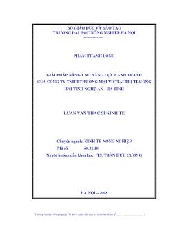 Giải pháp nâng cao năng lực cạnh tranh của công ty TNHH thương mại VIC tại thị trường hai tỉnh Nghệ An - Hà tĩnh