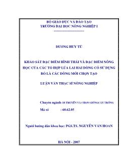 Khảo sát đặc điểm hình thái và đặc điểm nông học của các tổ hợp lúa lai hai dòng có sử dụng bố là các dòng mới chọn tạo