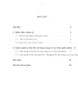 Luật mạnh số lớn đối với tổng trọng số các biến ngẫu nhiên