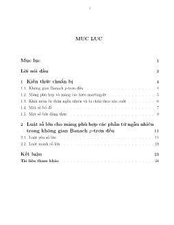 Luật số lớn cho mảng phù hợp với các phần tử ngẫu nhiên trong không gian Banach