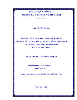 Nghiên cứu ảnh hưởng một số biện pháp hoá học và cơ giới đến sự ra hoa, hình thành quả của giống vải chín sớm Bình Khê tại tỉnh Bắc Giang