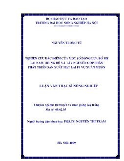 Nghiên cứu đặc điểm của một số dòng lúa bố mẹ tại Nam Trung bộ và Tây nguyên góp phần phát triển sản xuất hạt lai F1 vụ Xuân muộn