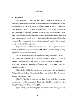 Nghiên cứu đặc điểm thực vật, phương thức nhân giống và ảnh hưởng mật độ trồng đến sinh trưởng, phát triển, năng suất và chất lượng dược liệu của 2 giống râu mèo (Orthosiphon sp.) tại Thanh Trì - Hà Nội