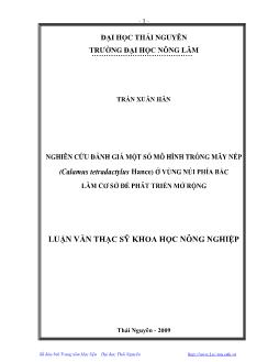 Nghiên cứu đánh giá một số mô hình trồng Mây nếp (Calamus Tetradactylus Hance) ở vùng núi phía Bắc làm cơ sở để phát triển mở rộng