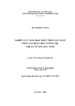 Nghiên cứu giải pháp phát triển sản xuất nông sản hàng hoá ở nông hộ thị xã Từ Sơn, Bắc Ninh