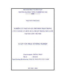 Nghiên cứu một số giá thể phối trộn trồng cây cải bắp,cà rốt,dưa chuột trong nhà lưới tại Gia Lâm-Hà Nội