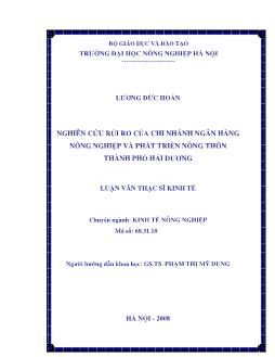 Nghiên cứu rủi ro của chi nhánh ngân hàng Nông nghiệp và phát triển nông thôn Thành phố Hải Dương
