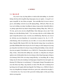 Nghiên cứu về một số đặc điểm sinh học, sinh thái học của loài ong ký sinh có triển vọng trên ruồi đục lá đậu rau Liriomyza sativae Blanchard vụ đông xuân 2008 – 2009 tại Gia Lâm – Hà Nội