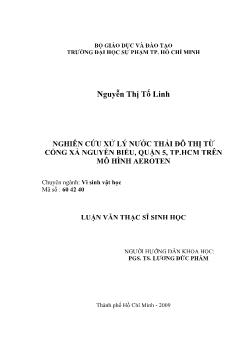 Nghiên cứu xử lý nước thải đô thị từ cống xả Nguyễn Biểu, Quận 5, TP.HCM trên mô hình Aeroten