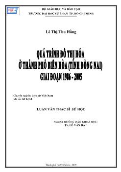 Quá trình đô thị hóa ở thành phố Biên Hòa (tỉnh Đồng Nai) giai đoạn 1986 - 2005